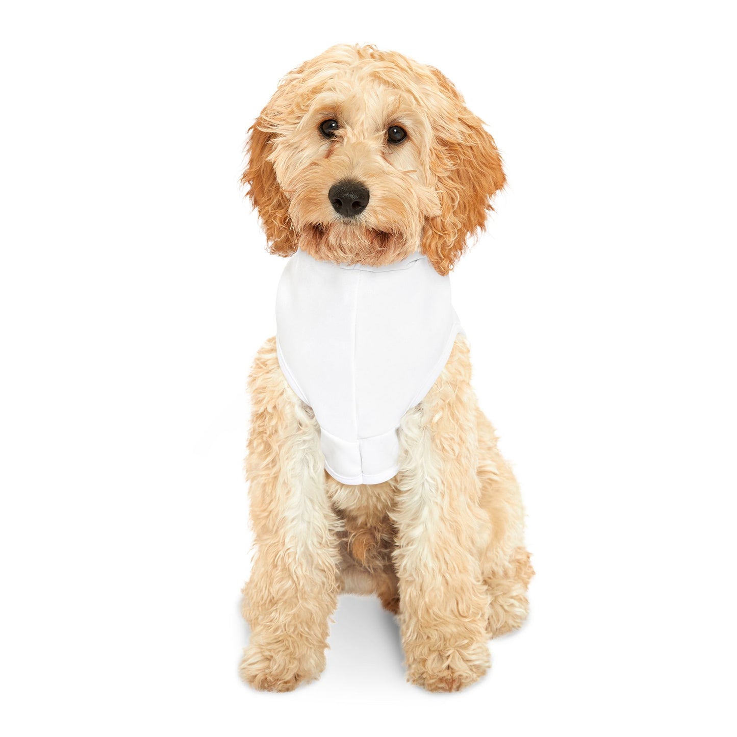 Schroeder Pet Hoodie